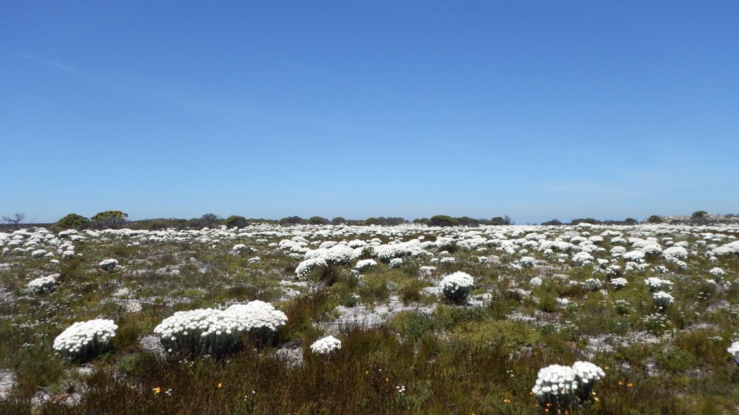 South Africa 2018-11-09